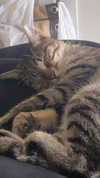 babynympho_archive Altpins Profile Picture