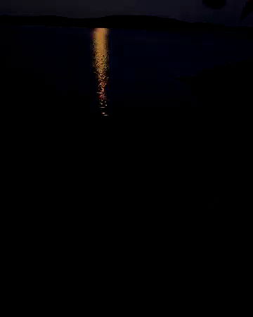 taylor.creeden taylor.creeden archive video