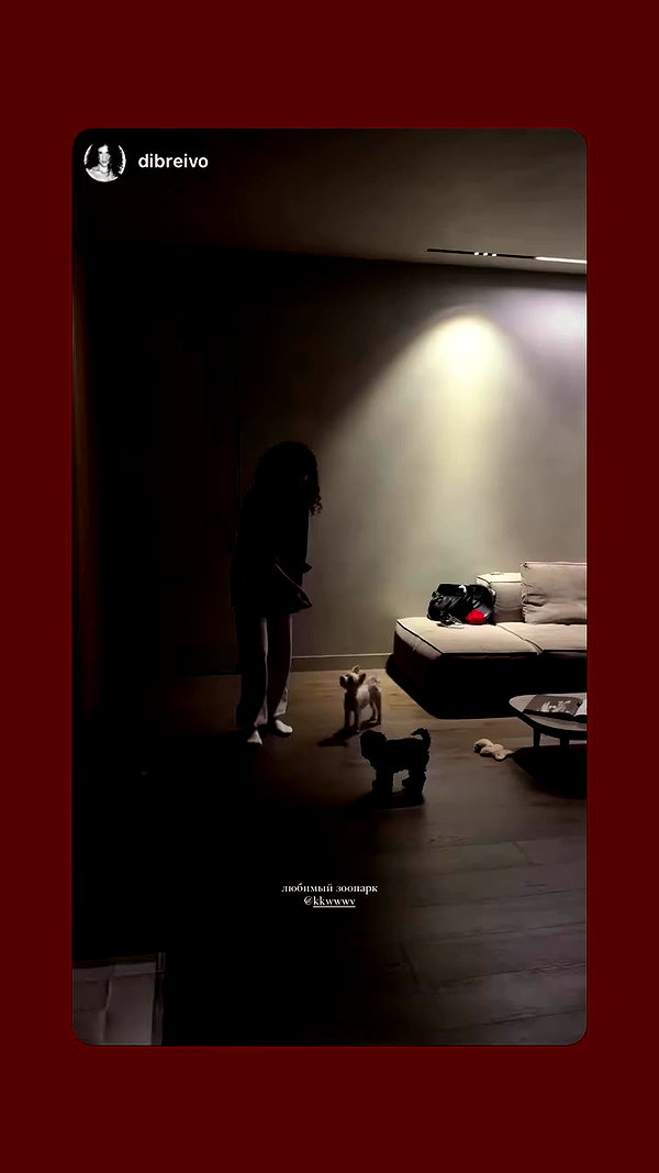 kkwwwv archive video preview