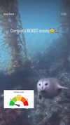 carmaxlla Altpins Profile Picture