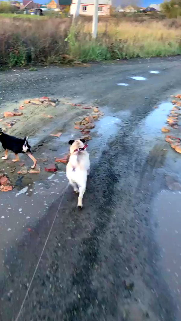 nyityam archive video preview