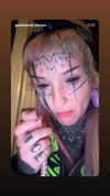 taxevasionkoala Altpins Profile Picture