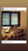 strawberryshans Altpins Profile Picture