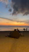tirtza_cohen Altpins Profile Picture