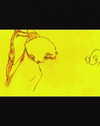 rachelchaleff Altpins Profile Picture