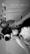 lilih Altpins Profile Picture