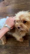 elizabethcampbelljones Altpins Profile Picture