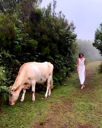 taylor.creeden taylor.creeden archive video