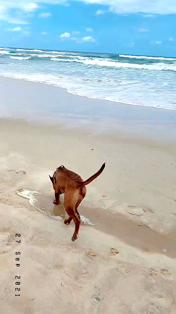 olivia.mathers archive video preview