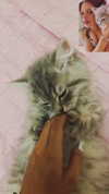 _mashachka_ Altpins Profile Picture