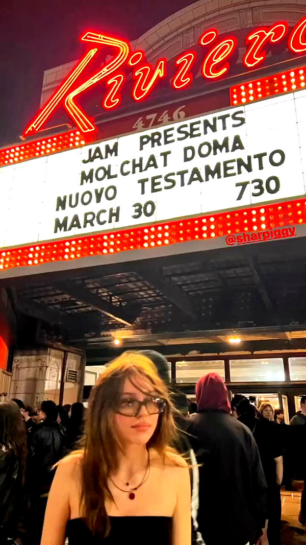 suzynorthway archive video preview