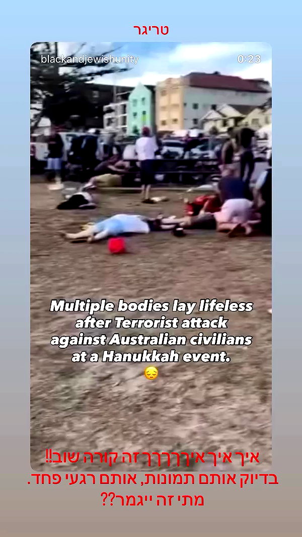 shellydekel archive video preview