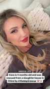 gabbyepstein Altpins Profile Picture
