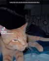 catl0verr69 Altpins Profile Picture