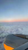 rouxroux.tv Altpins Profile Picture