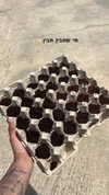rebecka_hasid Altpins Profile Picture