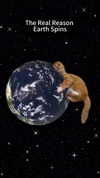 maori_cohen Altpins Profile Picture