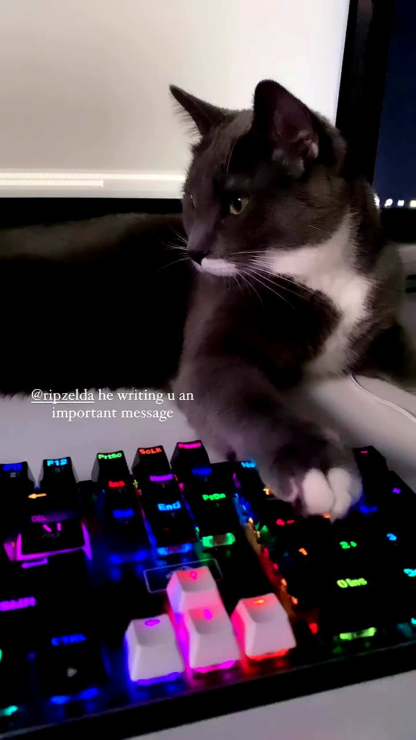 minenmi_ archive video preview