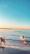 sonia_litvanchuk Altpins Profile Picture