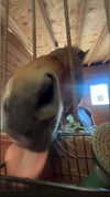 rachelchaleff Altpins Profile Picture