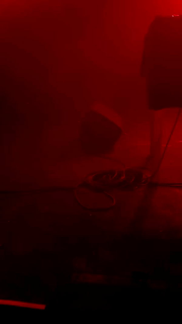 datgal.neta archive video preview