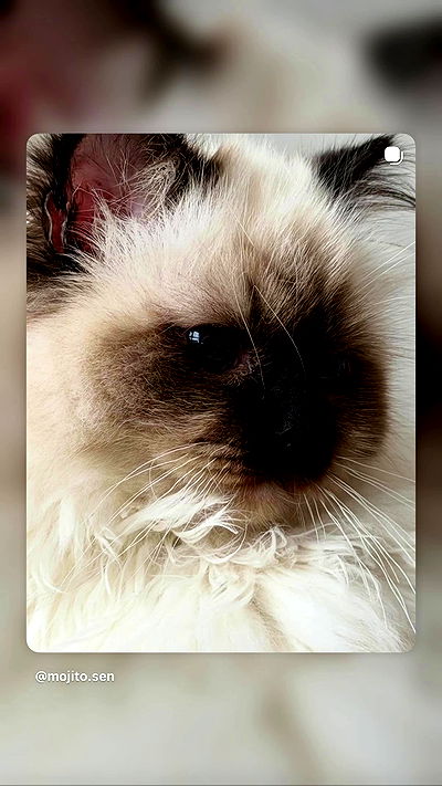 kasumi_sen kasumi_sen archive video