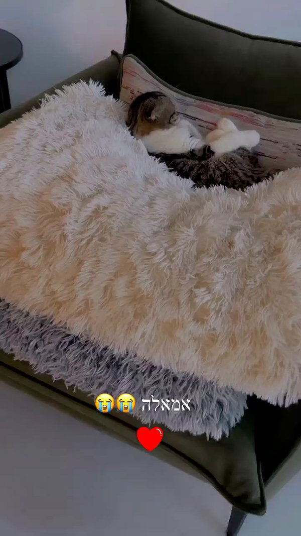 sonia_litvanchuk archive video preview