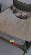 sonia_litvanchuk Altpins Profile Picture