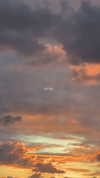 _lironatias Altpins Profile Picture