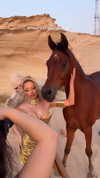 taylorcattanach Altpins Profile Picture
