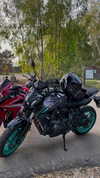 shanidahan7 Altpins Profile Picture