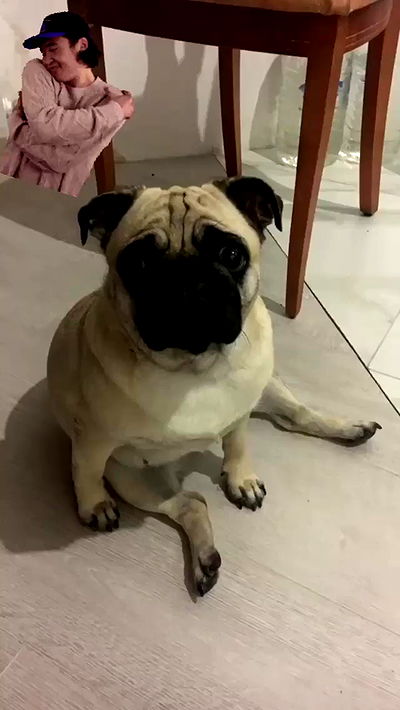 nyityam nyityam archive video