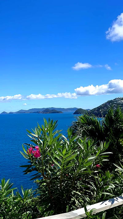 taylor.creeden taylor.creeden archive video