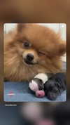 imshigh_ Altpins Profile Picture