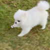 dear.zia Altpins Profile Picture