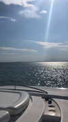 nikoleta.milenova Altpins Profile Picture