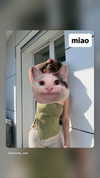 kasumi_sen Altpins Profile Picture