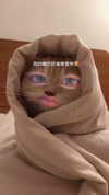 150_aiko Altpins Profile Picture