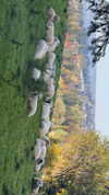 liron_haas Altpins Profile Picture