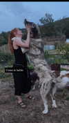 _broock_ Altpins Profile Picture