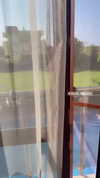ilana.21 Altpins Profile Picture