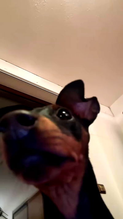 manjolamuriqi manjolamuriqi archive video