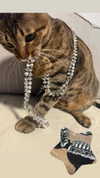 hellokittyangel666 Altpins Profile Picture