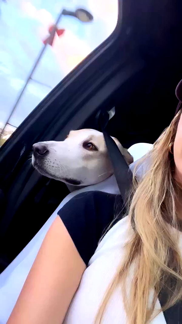 kaylasimmmons archive video preview