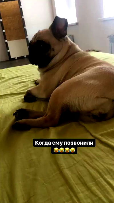 nyityam nyityam archive video