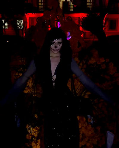 taylor.creeden taylor.creeden archive video