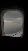mishel_d_ Altpins Profile Picture
