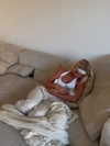 sophiecharlotth Altpins Profile Picture