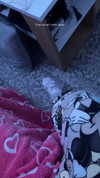 shanidahan7 Altpins Profile Picture