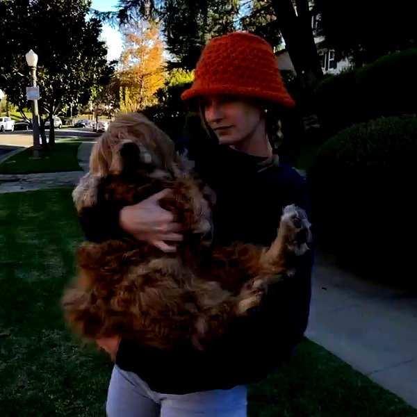 haileypandolfi archive video preview